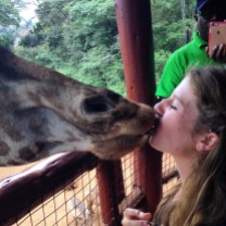 Giraffe Kisses
